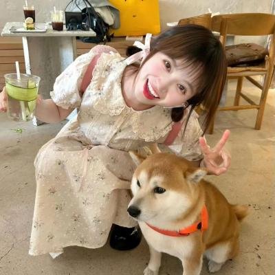 新贵 第二季